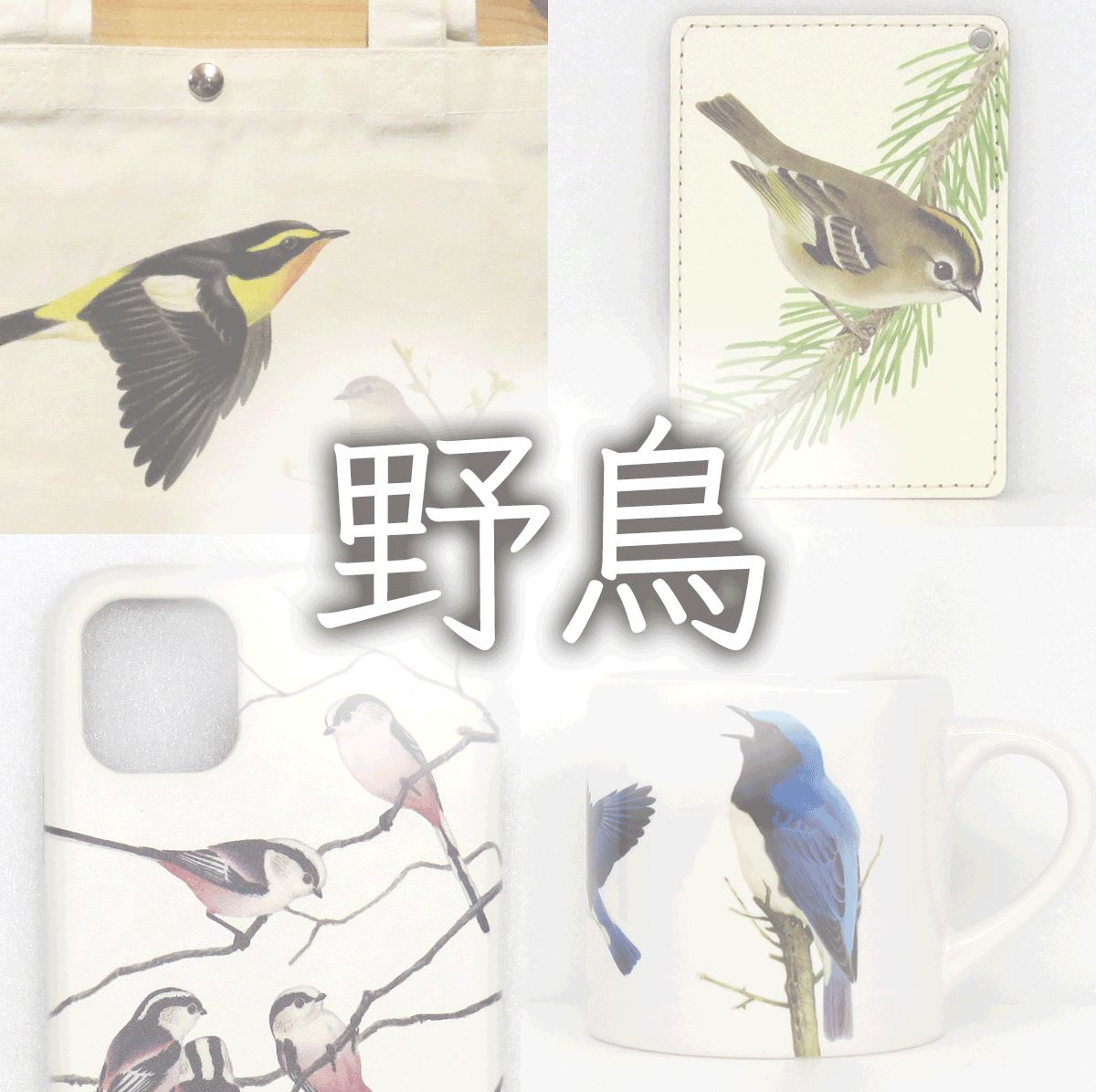 【極美品】ペーパーバック版　日本の野鳥セット　薮内正幸 版元品切れ】 薮内正幸 日本の野鳥セット 全6冊 ペーパーバック
