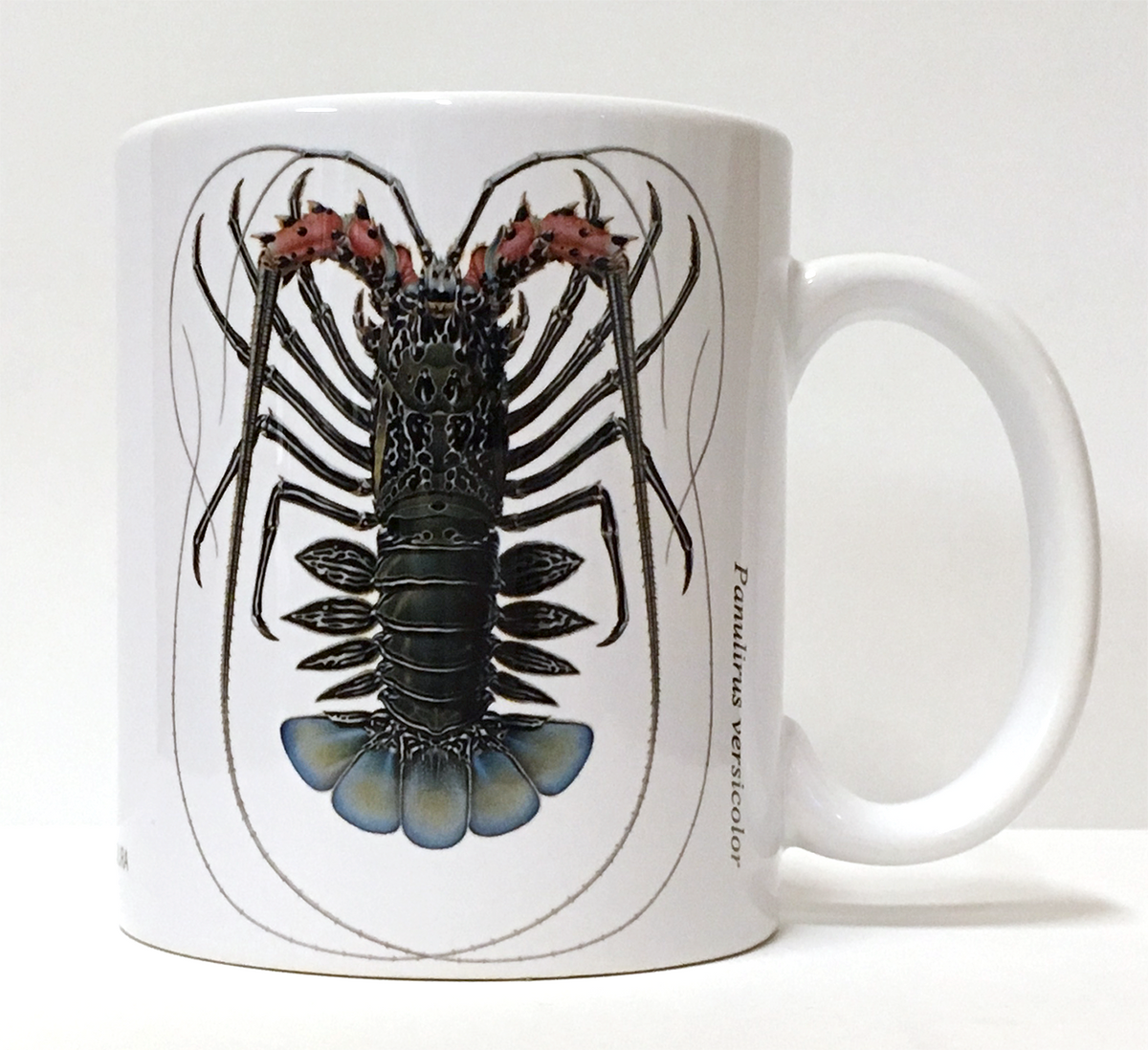 石浦 引退間垣襲名披露 記念品コップ ペア マグカップ(大)杉浦千里