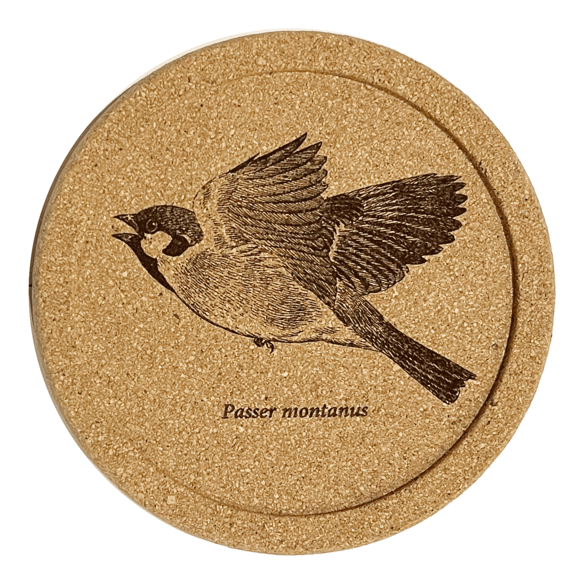 レーザー彫刻コルク製コースター5枚セット・スズメ – いきもの細密画