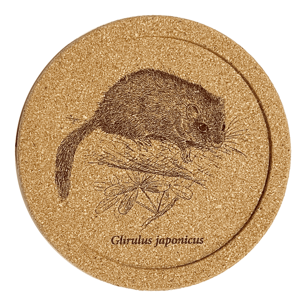 急成長な雷神　コルク付き CRC_yamane1_grande.png?v=