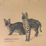 ドライTシャツ サーバル・Lサイズ
