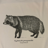 ドライTシャツ タヌキ・LLサイズ
