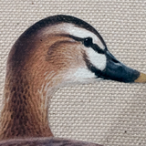 いきもの細密画アートグッズのサコッシュに描かれた、動物画家・薮内正幸による精細なカルガモのイラスト