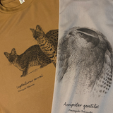 ドライTシャツ オオタカ・Lサイズ