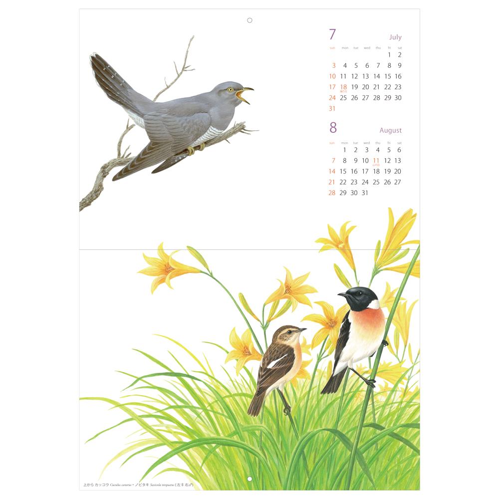 薮内正幸イラストカレンダー2016 〜八ヶ岳の野鳥〜 – いきもの細密画