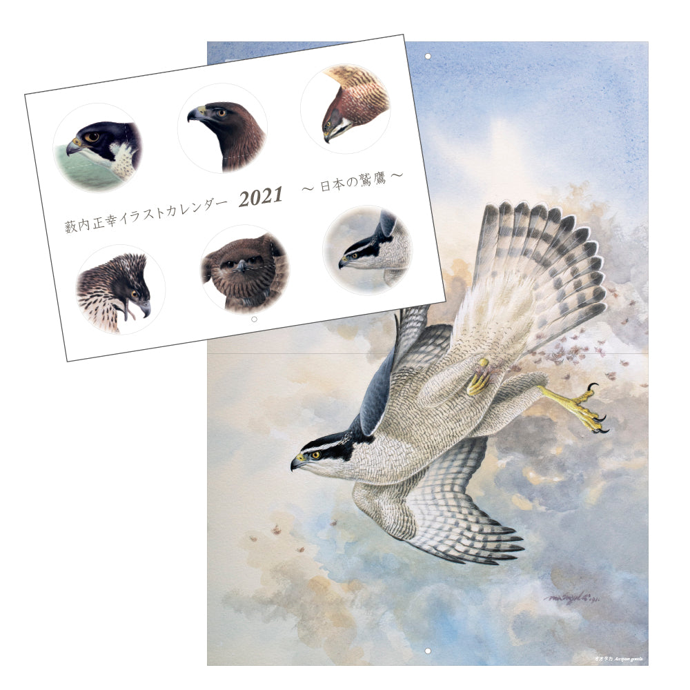 【版元品切れ】　薮内正幸　日本の野鳥セット　全6冊 復刊・薮内正幸日本の野鳥セット－シリーズ | 絵本ナビ