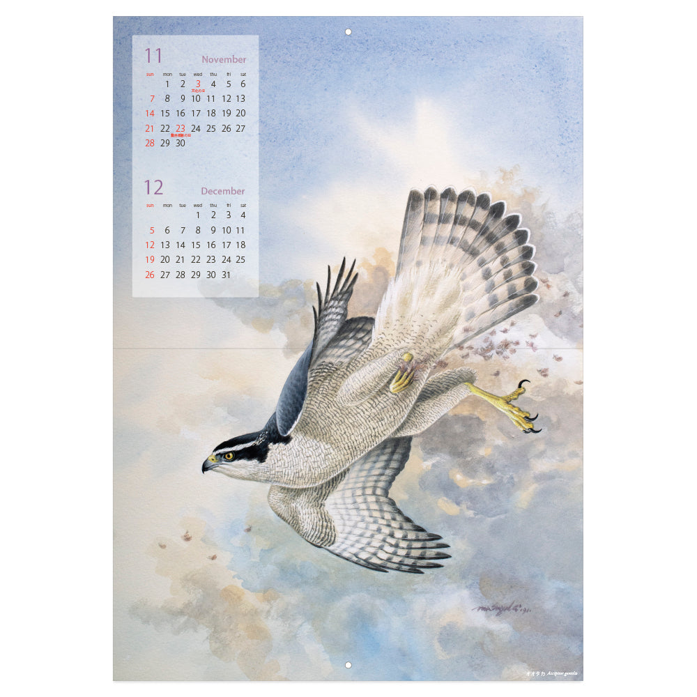薮内正幸イラストカレンダー2021 〜鷲鷹〜 – いきもの細密画アートグッズ
