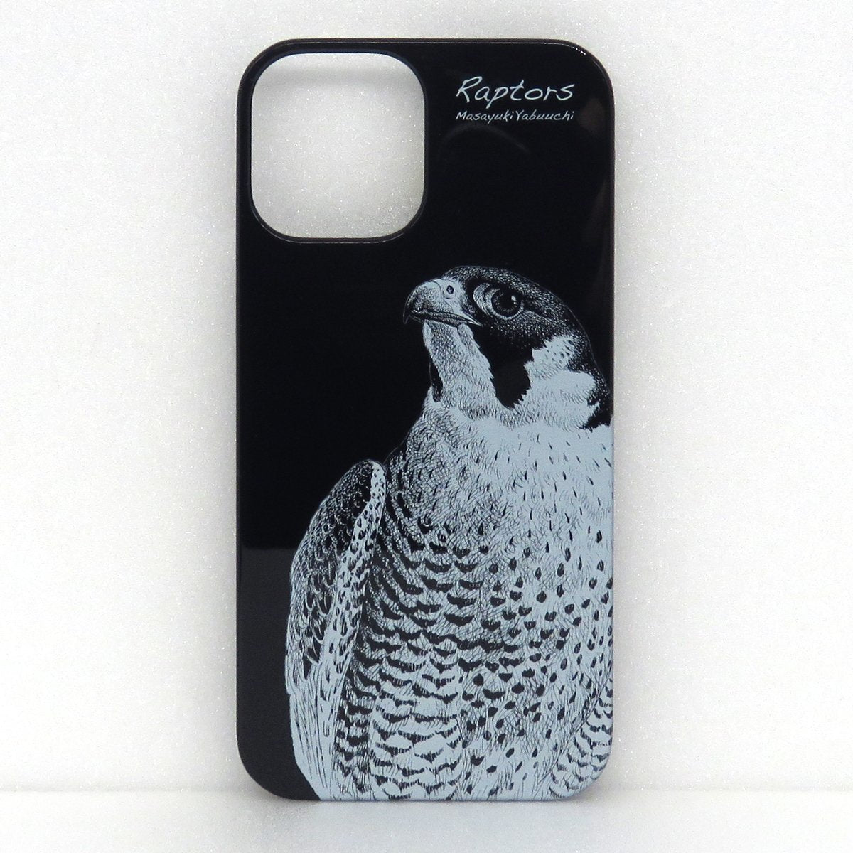 生物細密画（水彩）「ブラックタイガー」 生物細密画（水彩