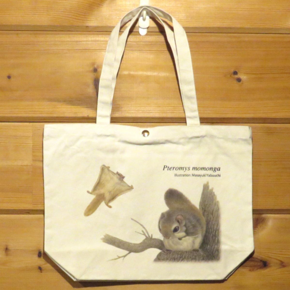 TTMY_momo_2048x.jpg?v=1604973797