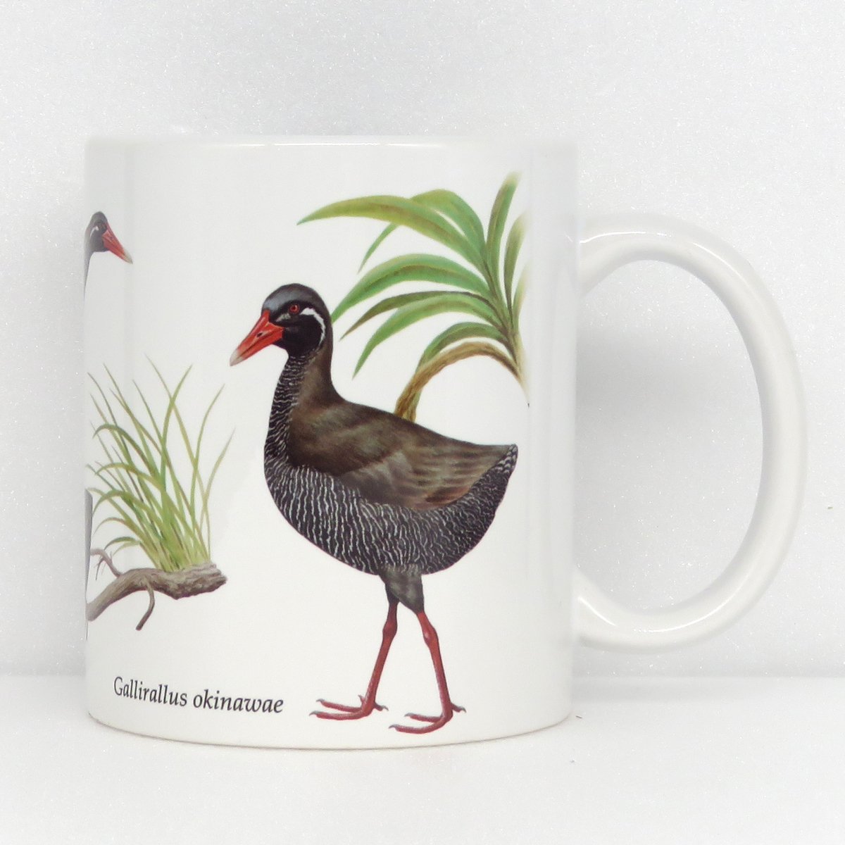 再入荷商品_いきもの細密画アートグッズ